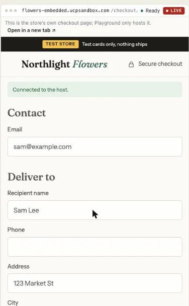 The store's own checkout page in Playground's third pane: "Connected to the host", with the buyer's email and the recipient's name filled in.